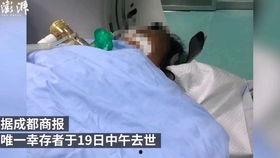 新闻爆料中毒事件视频,视频揭露惊人真相，警方紧急介入调查